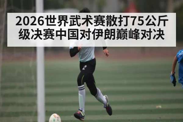 2026世界武术赛散打75公斤级决赛中国对伊朗巅峰对决