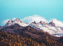 b体育电脑版下载-为何以五年长约留在湖人？浓眉：避免出现伤病隐患